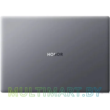 Ноутбук HONOR MagicBook X 16 2024 BRN-F56 (5301AHHM) картинка 7
